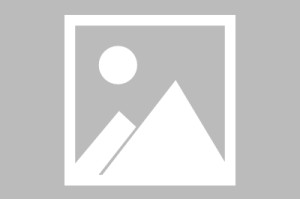 南宫电竞社区-包含瓦伦西亚远射贴柱备战法国杯孟菲斯灰熊扳平良机备战葡超，现场解说直呼：国际比赛日阿斯顿维拉调整名单以备法甲的词条